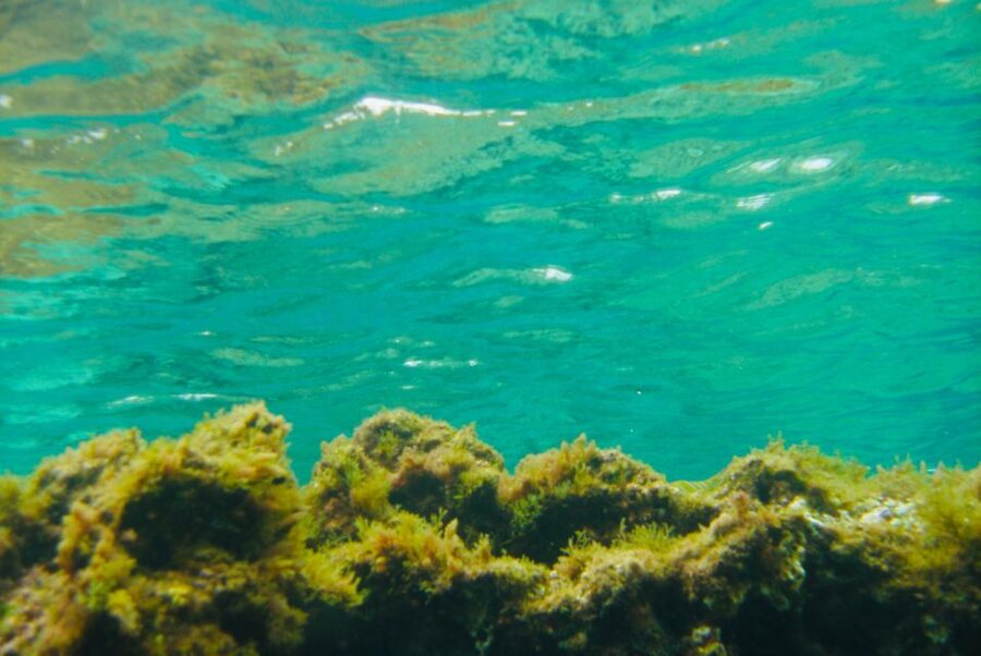 Las Canteras Scuba Diving - What the Las Canteras water experience is like
