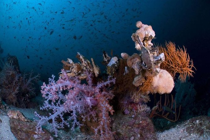 Learn to dive in 2 days Scuba Diver course - What this Ko Lipe course actually qualifies you to do