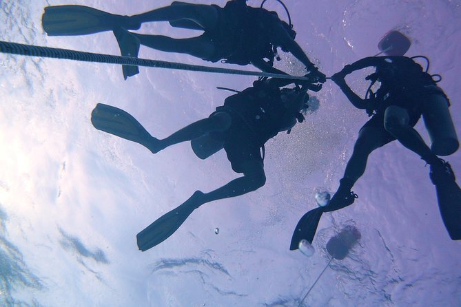 Learn to Dive | RAID Open Water 20 Diver Course | Kota Kinabalu - Learning scuba in Tunku Abdul Rahman Marine Park
