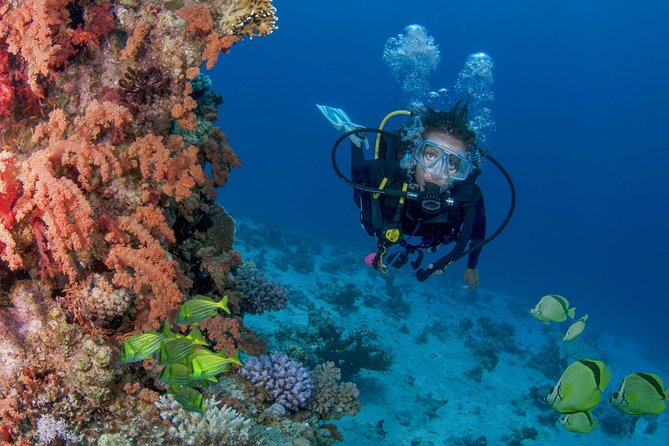 Learn to Scuba Dive in Cabo San Lucas with PADI - Starting with skills instead of open water