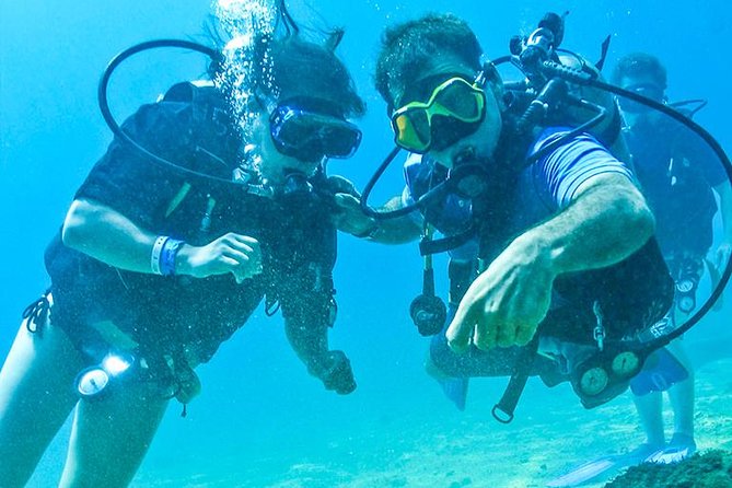 Learn to Scuba Dive in Cabo San Lucas with PADI - Small groups and close instruction