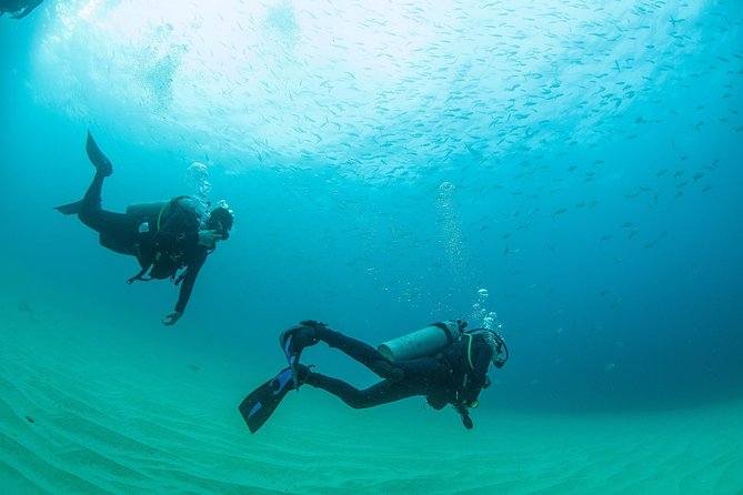 Learn to Scuba Dive in Cabo San Lucas with PADI - Transportation is the part to handle carefully