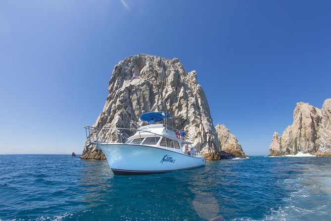 Learn to Scuba Dive in Cabo San Lucas with PADI - Who should book this Cabo experience