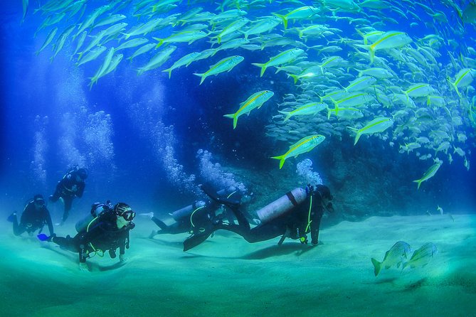 Learn to Scuba Dive in Cabo San Lucas with PADI - Pelican Rock and the first ocean session
