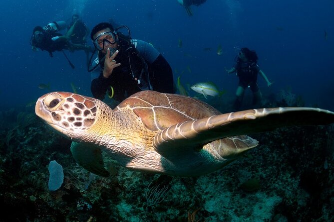 Learn to Scuba Dive in Punta Cana - From Punta Cana beach holiday to underwater reef
