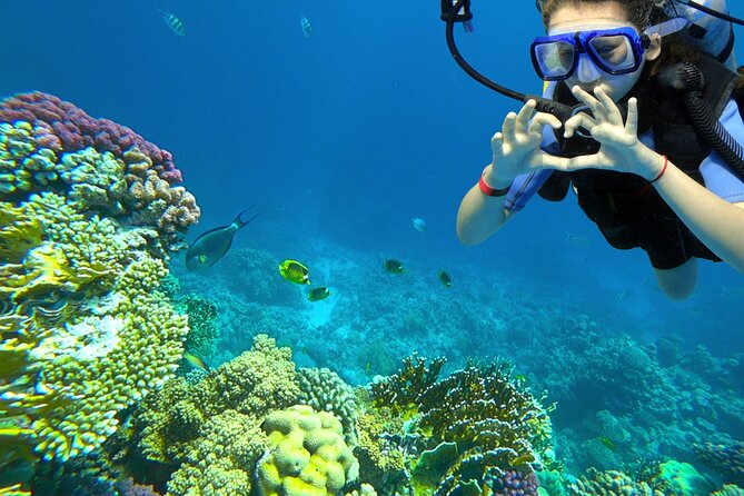 Learn to Scuba Dive with a Professional Instructor in Key Largo - All Inclusive - Starting at 8 a.m. in Key Largo