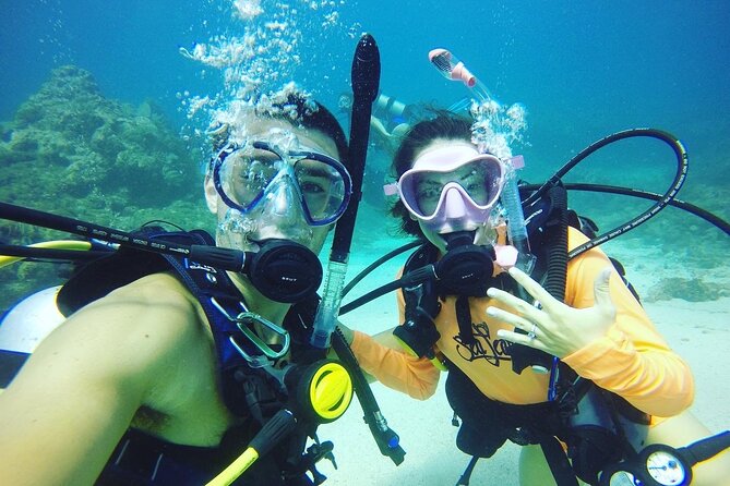 Learn to Scuba Dive with a Professional Instructor in Key Largo - All Inclusive - The wildlife is the real payoff