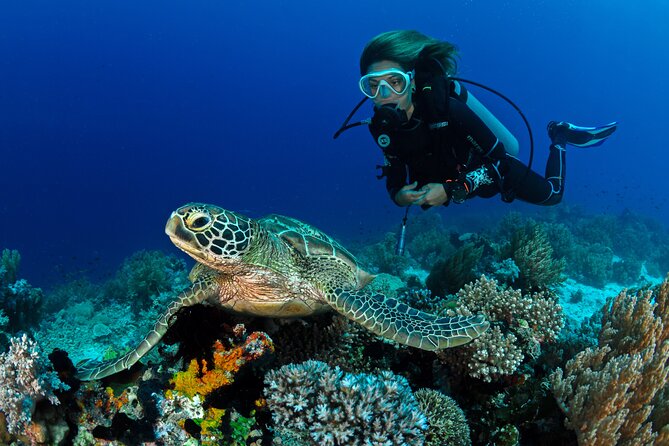 Learn to Scuba Dive with a Professional Instructor in Key Largo - All Inclusive - What the $299 price includes