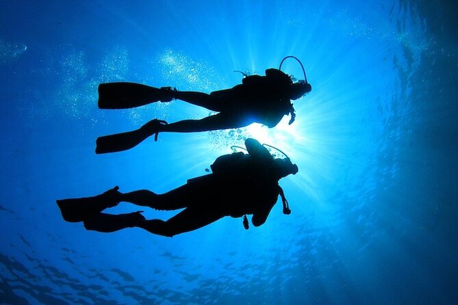 Learn to Scuba Dive with a Professional Instructor in Key Largo - All Inclusive - What the two underwater sessions feel like
