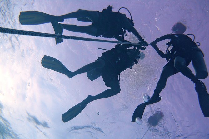 Leisure Diving | Fun Dives | 3 Dives in TARP, Kota Kinabalu - Who will get the most from this experience