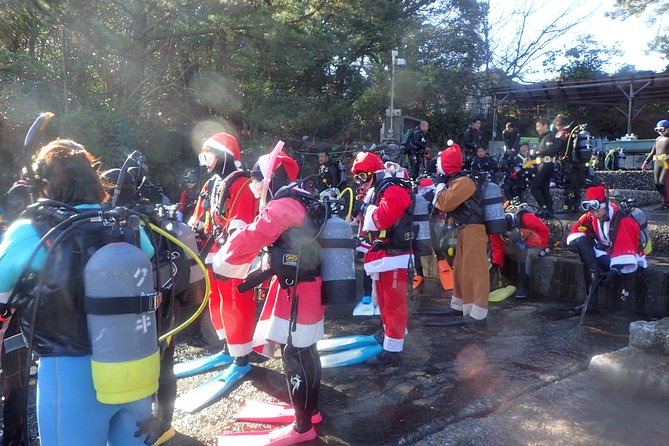 Let's enjoy Scuba diving in Izu Peninsula for certificate Diver - The marine life you may see below the surface