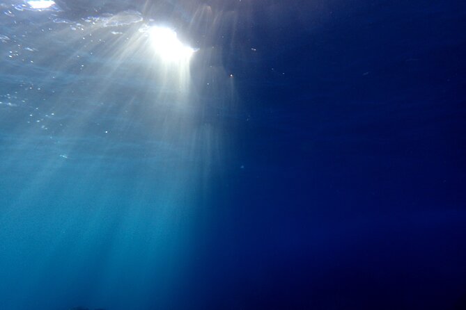 Let's enjoy Scuba diving in Izu Peninsula for certificate Diver - Morita’s guiding style and language options