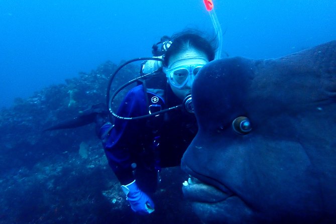 Let's enjoy Scuba diving in Izu Peninsula for certificate Diver - Equipment, fitness, and what to pack