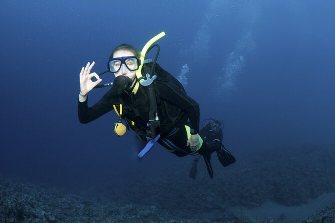 Lets Go Diving with pickup from hotel - A gentle first step below the Aegean