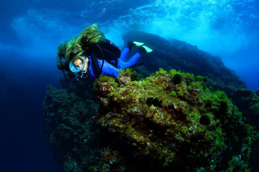 Lisbon: Become a Scuba Diver in 3-Days - Three days to build real underwater confidence