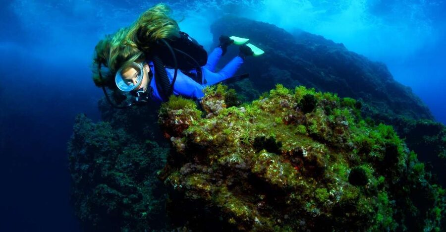 Lisbon: Become a Scuba Diver in 3-Days - Should you book the Lisbon three-day scuba course?