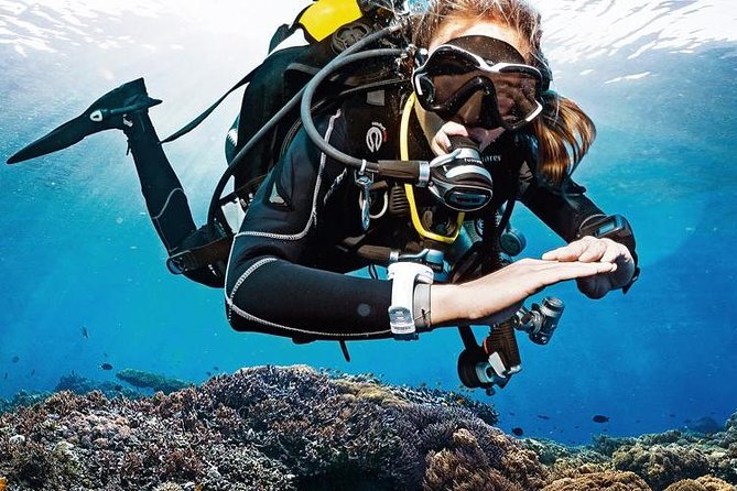 Lisbon Eco-Try Dive - Diving Baptism - A first underwater session in Sesimbra