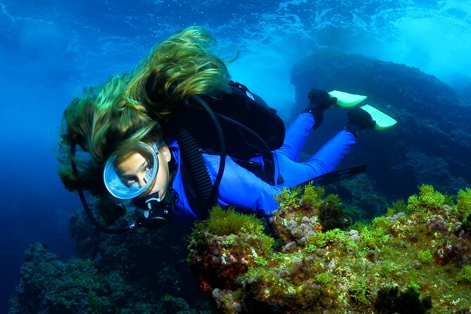 Lisbon Eco-Try Dive - Diving Baptism - Is $117.21 a fair price?