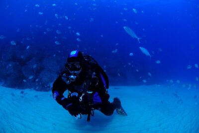 Lisbon Eco-Try Dive – Diving Baptism