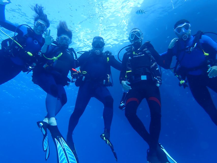 Lisbon: Try Dive in Arrábida Marine Reserve Setubal Sesimbra - Key points to know before booking