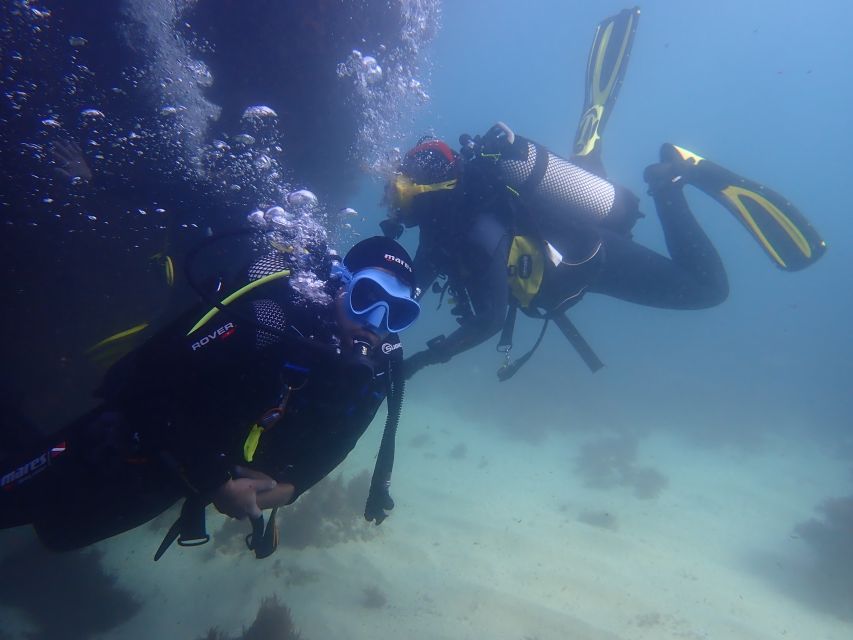 Lisbon: Try Dive in Arrábida Marine Reserve Setubal Sesimbra - Why this protected coast works for a first scuba session