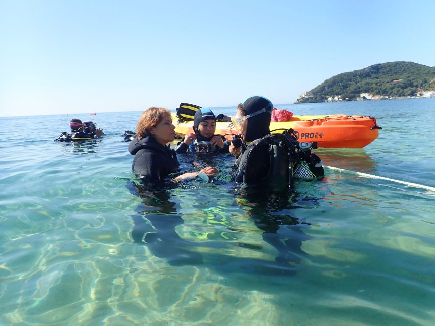 Lisbon: Try Dive in Arrábida Marine Reserve Setubal Sesimbra - The underwater sights around Arrábida