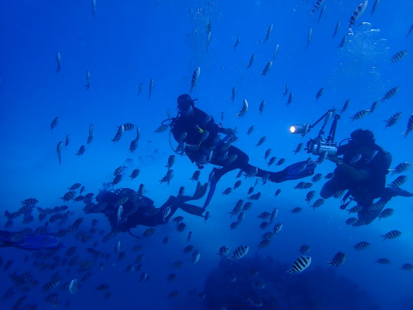 Lisbon: Try Dive in Arrábida Marine Reserve Setubal Sesimbra - Getting to Creiro Beach and finding the meeting point