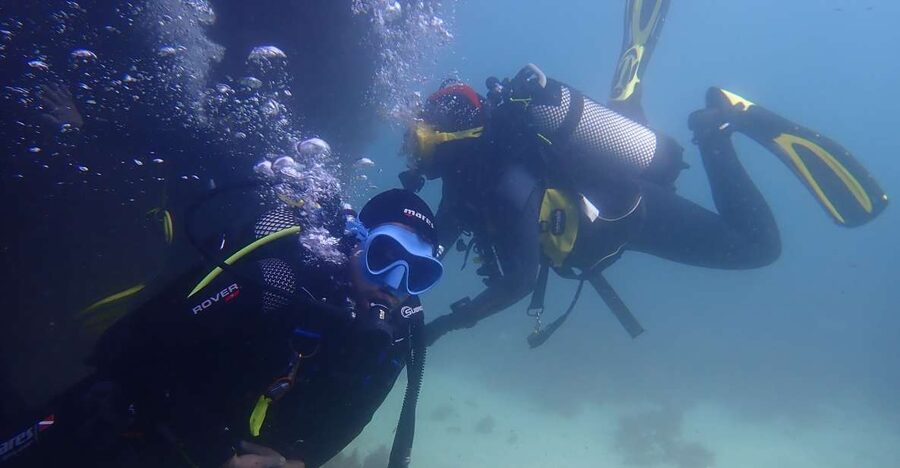 Lisbon: Try Dive in Arrábida Marine Reserve Setubal Sesimbra - A few practical ways to enjoy it more