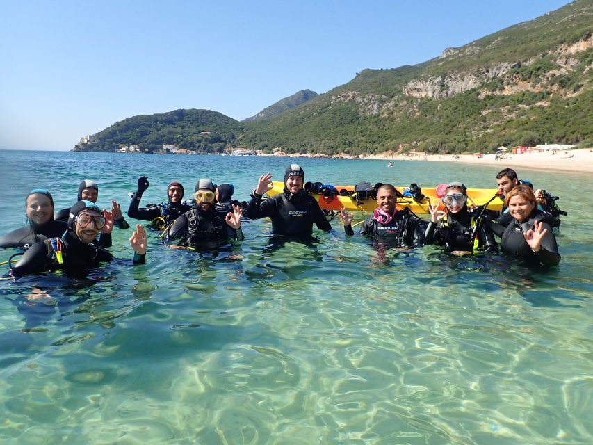 Lisbon: Try Dive in Arrábida Marine Reserve Setubal Sesimbra - What happens during the two-hour experience