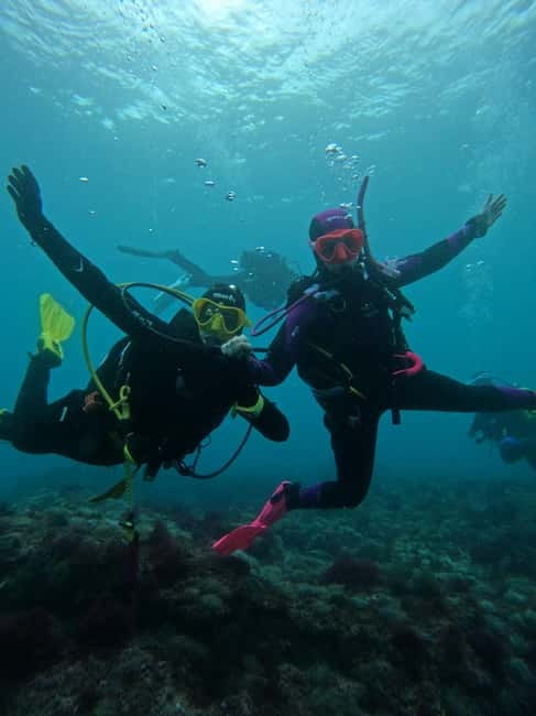 Lisbon: Try Scuba Diving in Arrábida Marine Reserve w/photos - The 20-minute speedboat ride into Arrábida Natural Park