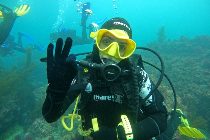 Lisbon: Try Scuba Diving in Arrabida Marine Reserve with photos - What this Arrábida scuba experience really offers