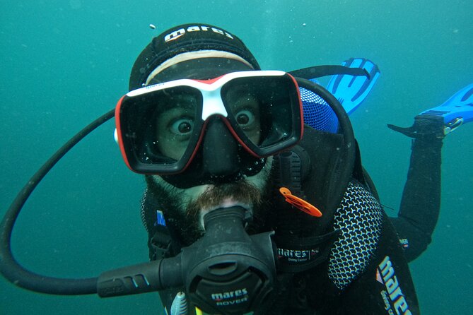 Lisbon: Try Scuba Diving in Arrabida Marine Reserve with photos - Underwater photos and the one practical snag