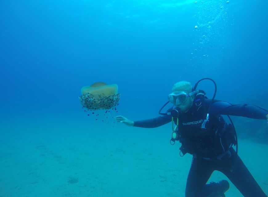 Lloret de Mar: Scuba Diving Experience no License Required - First breaths in the calm waters of Lloret de Mar