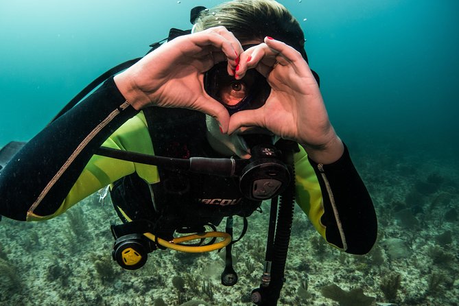 Local Dive in Playa del Carmen - Two underwater sessions along Playa del Carmen’s coast