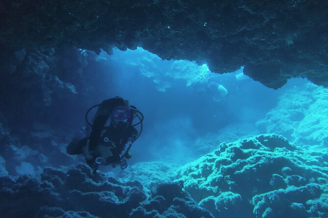 Local Guided Dives (for certified/licensed divers) - One Session or Two?