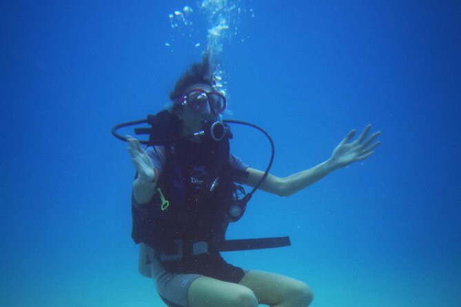 Local Guided Dives (for certified/licensed divers) - What Is Included for $78.61?
