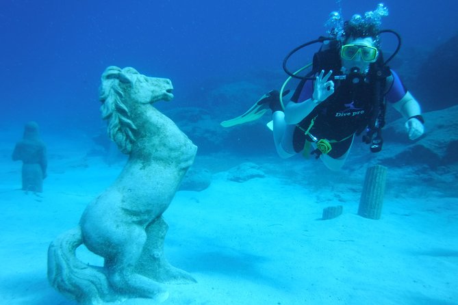 Local Guided Dives (for certified/licensed divers) - The After-Session Details That Make It Feel Complete