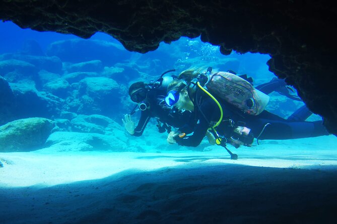 Local Guided Dives (for certified/licensed divers) - Who Will Get the Most From This Outing?