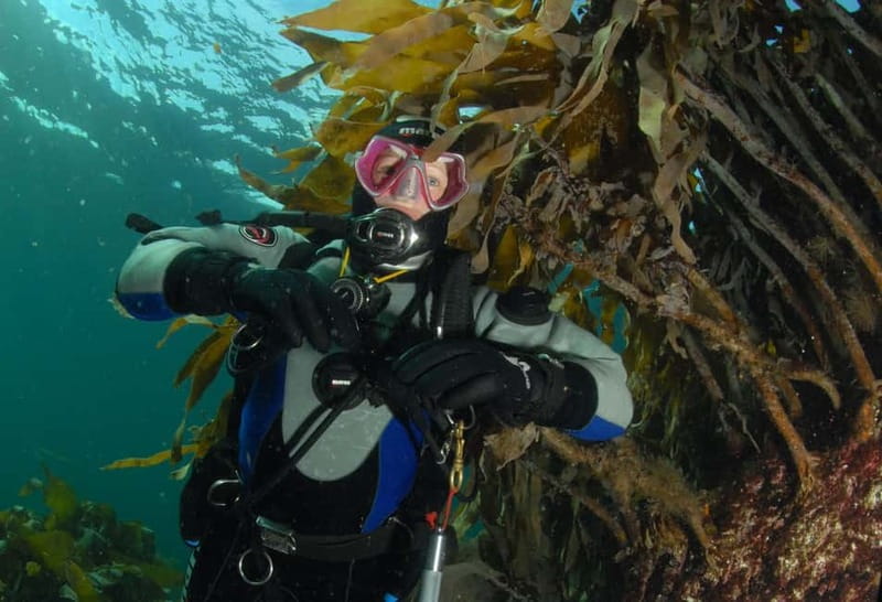 Lofoten: First Time Scuba Diving Experience - The first 30 minutes: learning before entering the water
