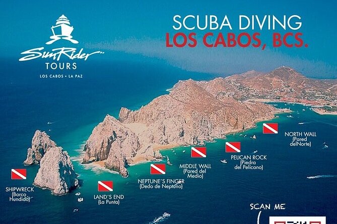 Los Cabos 1 tank dive to Land’s End (Certified Divers) - How the guide affects the experience