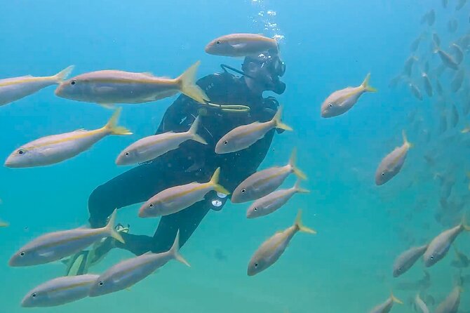 Los Cabos 2 tanks dive to The Corridor (Certified divers) - The North Wall and Middle Wall