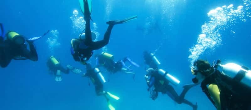 Los Cabos 3-Hour Certified Scuba Diving Tour - What the $129 price really covers