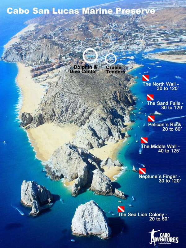 Los Cabos 3-Hour Certified Scuba Diving Tour - Who will enjoy this Cabo outing most