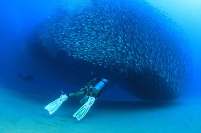 Los Cabos 3-Hour Certified Scuba Diving Tour - Should you book the Los Cabos scuba tour?