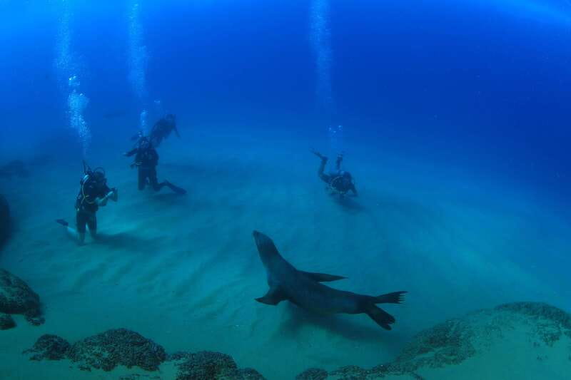 Los Cabos 3-Hour Certified Scuba Diving Tour - Cabo’s underwater sites, from boulders to sand falls