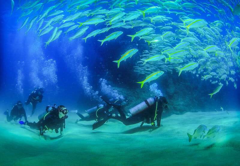 Los Cabos: 3-Hour Introductory Scuba Diving Adventure - What this Cabo scuba session really offers