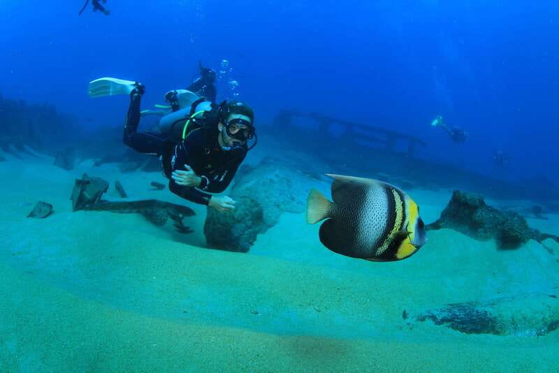 Los Cabos: 3-Hour Introductory Scuba Diving Adventure - Is $129 a good value?