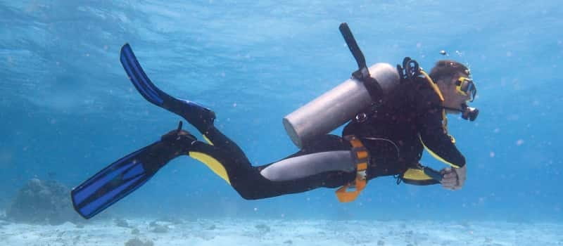Los Cabos: 3-Hour Introductory Scuba Diving Adventure - Who should book this experience?