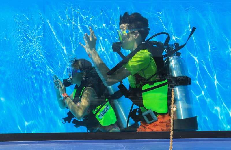 Los Cabos: 3-Hour Introductory Scuba Diving Adventure - What makes the instruction valuable