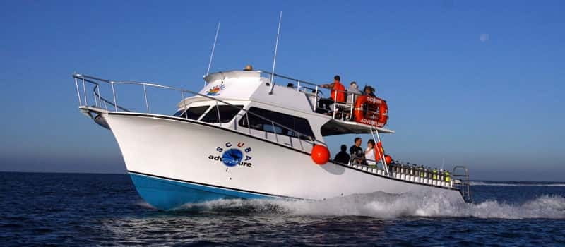 Los Cabos: 3-Hour Introductory Scuba Diving Adventure - The 30-minute lesson and shallow-water practice